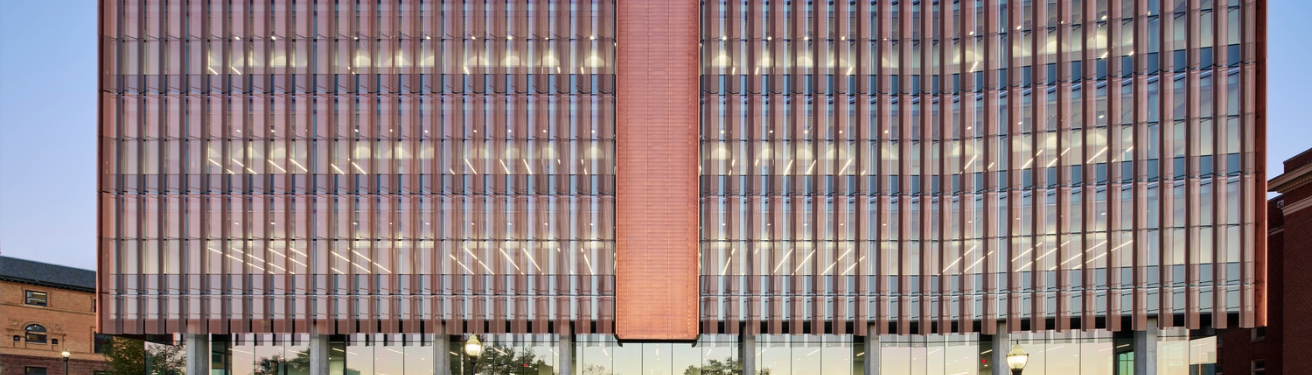 image alt tag placeholder