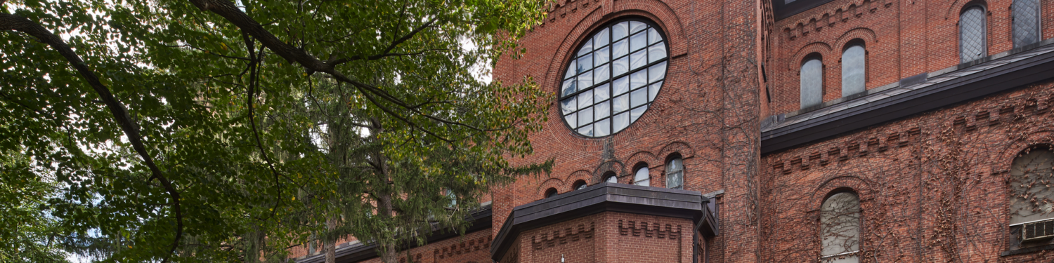 image alt tag placeholder