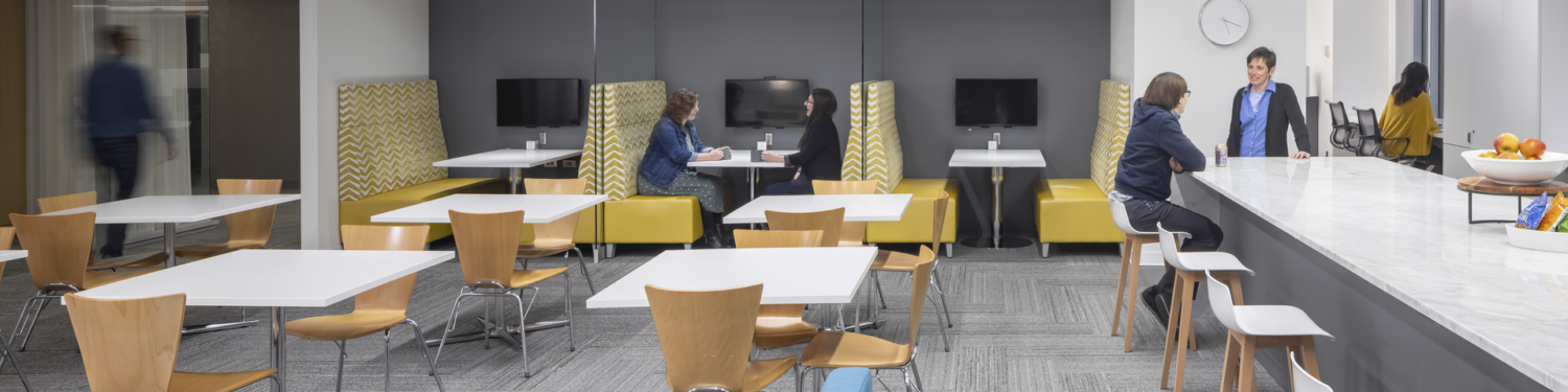 image alt tag placeholder