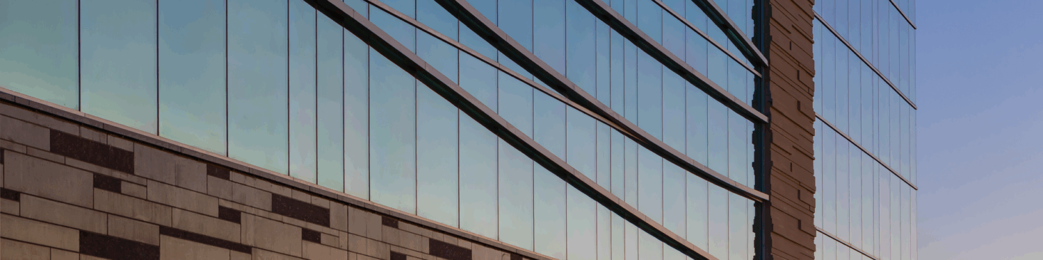 image alt tag placeholder